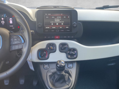 Fiat Panda Gebrauchtwagen