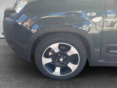 Fiat Panda Gebrauchtwagen