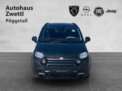 Fiat Panda Gebrauchtwagen