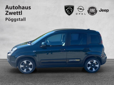 Fiat Panda Gebrauchtwagen