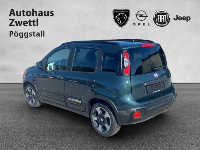 Fiat Panda Gebrauchtwagen
