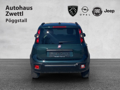 Fiat Panda Gebrauchtwagen
