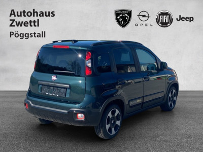 Fiat Panda Gebrauchtwagen