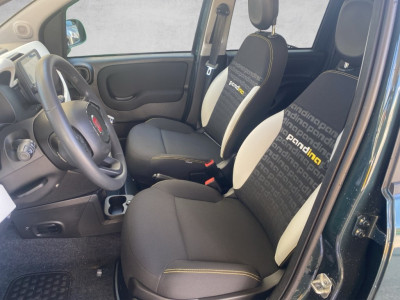 Fiat Panda Gebrauchtwagen