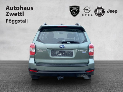 Subaru Forester Gebrauchtwagen