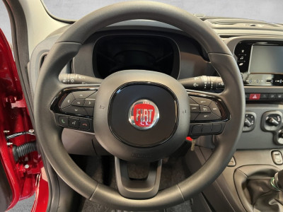 Fiat Panda Gebrauchtwagen
