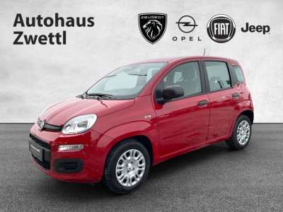 Fiat Panda Gebrauchtwagen