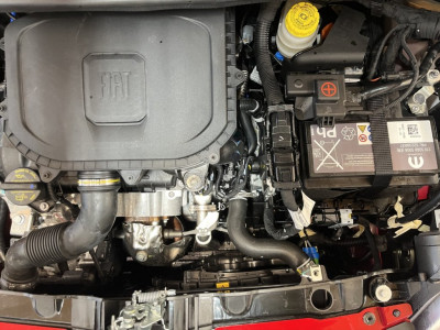 Fiat Panda Gebrauchtwagen