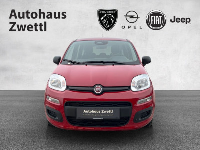 Fiat Panda Gebrauchtwagen