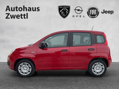 Fiat Panda Gebrauchtwagen