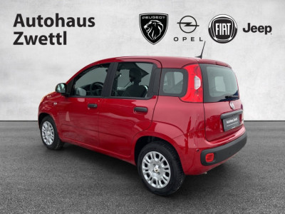 Fiat Panda Gebrauchtwagen