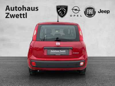 Fiat Panda Gebrauchtwagen