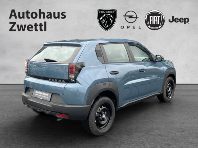 Fiat Grande Panda Gebrauchtwagen