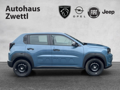 Fiat Grande Panda Gebrauchtwagen