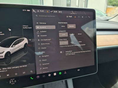 Tesla Model 3 Gebrauchtwagen