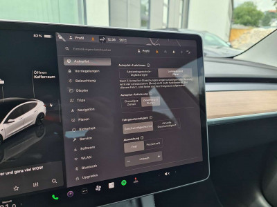 Tesla Model 3 Gebrauchtwagen