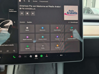 Tesla Model 3 Gebrauchtwagen