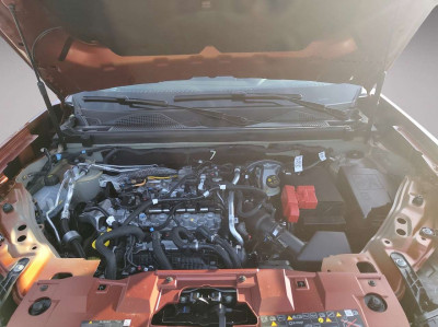 Dacia Bigster Neuwagen