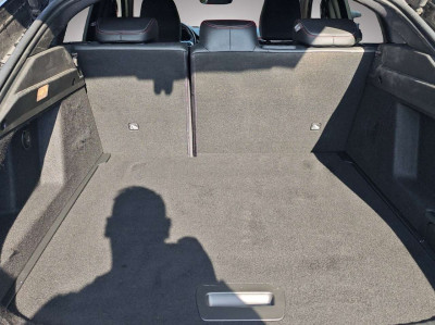 Renault Arkana Gebrauchtwagen