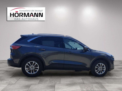 Ford Kuga Gebrauchtwagen Ford Kuga Gebrauchtwagen