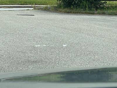 Opel Grandland X Jahreswagen Opel Grandland X Jahreswagen