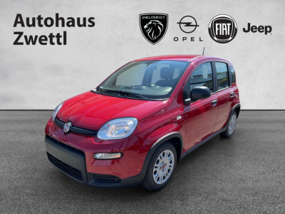 Fiat Panda Gebrauchtwagen