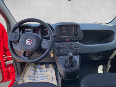 Fiat Panda Gebrauchtwagen