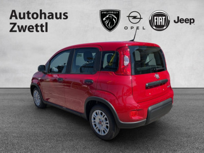 Fiat Panda Gebrauchtwagen