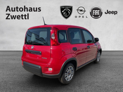 Fiat Panda Gebrauchtwagen