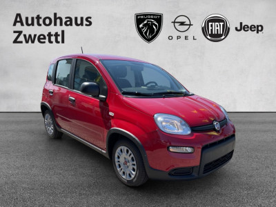 Fiat Panda Gebrauchtwagen