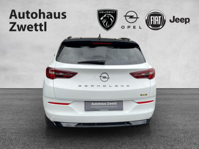 Opel Grandland X Gebrauchtwagen