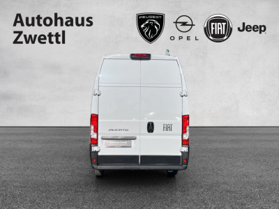 Fiat Ducato Gebrauchtwagen