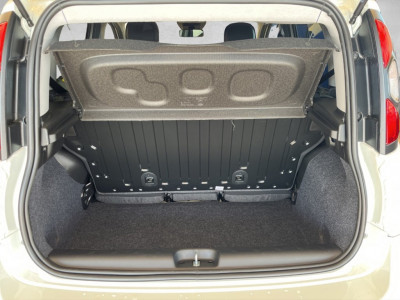 Fiat Panda Gebrauchtwagen