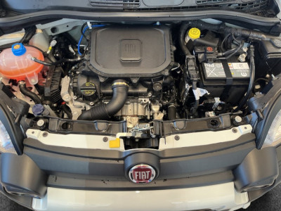 Fiat Panda Gebrauchtwagen