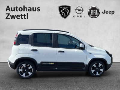 Fiat Panda Gebrauchtwagen