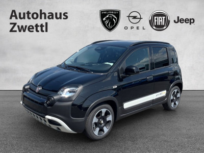 Fiat Panda Gebrauchtwagen