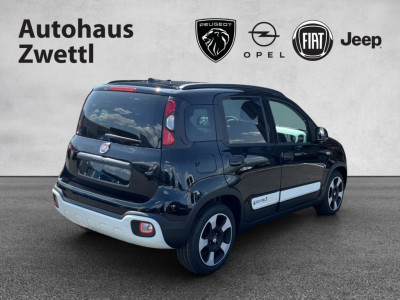 Fiat Panda Gebrauchtwagen