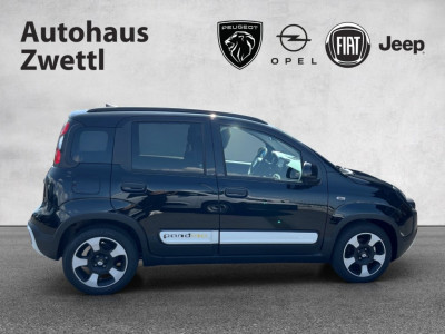 Fiat Panda Gebrauchtwagen
