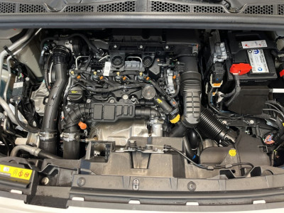 Fiat Doblo Neuwagen Fiat Doblo Neuwagen