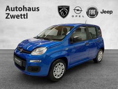 Fiat Panda Neuwagen Fiat Panda Neuwagen