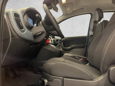 Fiat Panda Neuwagen Fiat Panda Neuwagen