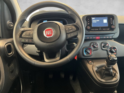 Fiat Panda Neuwagen