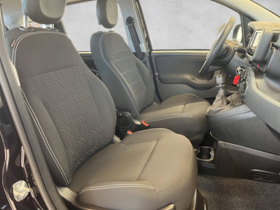 Fiat Panda Neuwagen