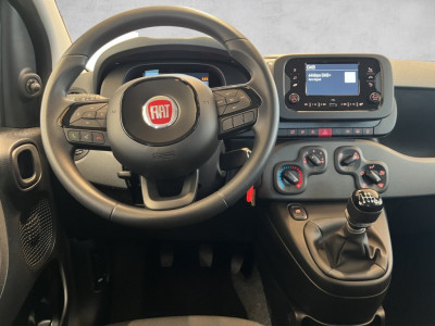 Fiat Panda Neuwagen
