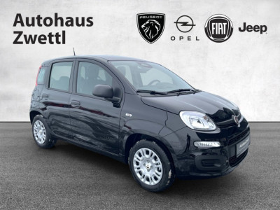 Fiat Panda Neuwagen