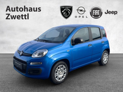 Fiat Panda Gebrauchtwagen
