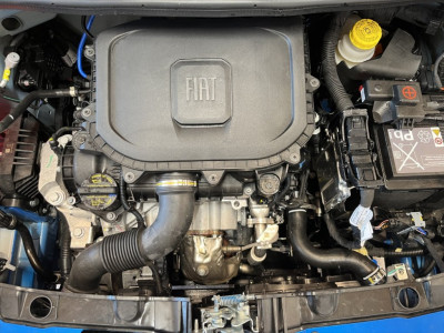 Fiat Panda Gebrauchtwagen