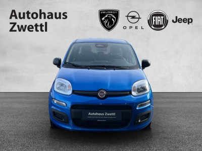 Fiat Panda Gebrauchtwagen