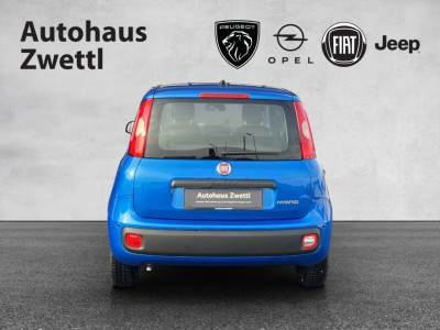 Fiat Panda Gebrauchtwagen