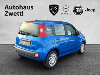Fiat Panda Gebrauchtwagen